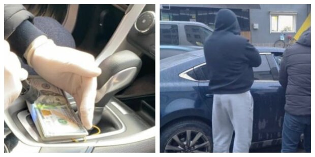 ����: politeka.net