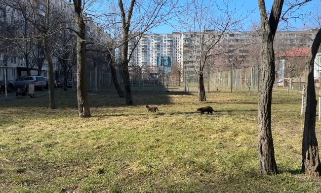 Прогноз погоди на тиждень з 13 по 19 квітня у Харкові