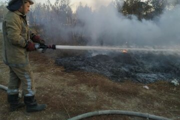 Мощный пожар вплотную подобрался к жилым домам на Харьковщине, кадры: слетелись спасатели
