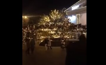 Головна новорічна ялинка впала в центрі міста: з'ясувалося, навіщо її відвезли в Одесу