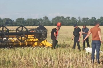 Тіло 8-річної дитини знайшли у полі на Дніпропетровщині: у поліції повідомили перші подробиці