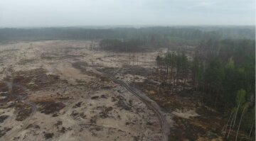 "Так Зеленский победил янтарекопателей": лесные богатства Украины превратили в пустыню, видео