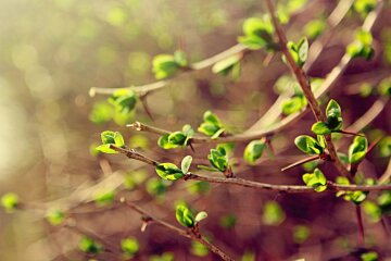 Погода на 9 апреля