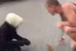 Бабушка-попрошайка из Киева оказалась усатым мужчиной: видео разоблачения