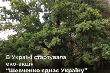 Еко-акція "Шевченко об'єднує Україну": Держекоінспекція закликає підтримати висадку дубів у національних парках та заповідниках