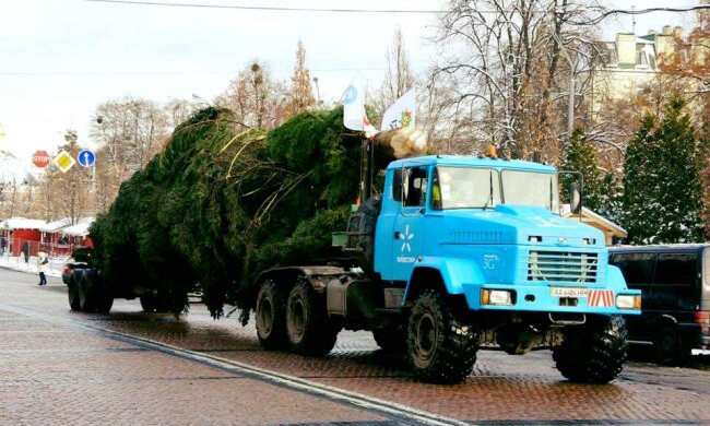 Киевляне хотят избавиться от главной елки страны