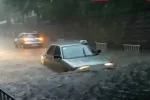 ливень, дождь