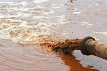 Екологічна катастрофа в Умані: водойми перетворилися на потік нечистот, Нацкорпус зробив заяву