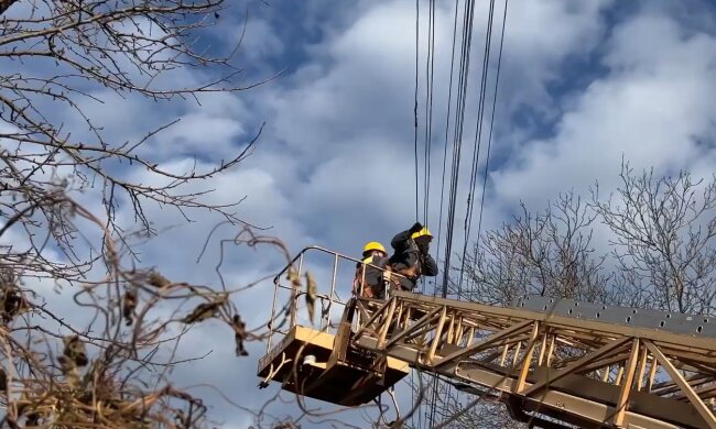 Графіки відключення світла у Харківській області на 11 грудня