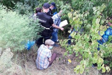 Поиски юной Софии на Киевщине обернулись трагедией, фото: "15-летний товарищ..."