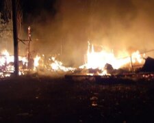 Пожежа охопила базу відпочинку у Одеській області, будиночки згоріли дотла: кадри НП