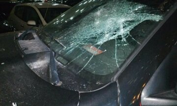 "Не понравился водитель": киевлянин разгромил чужое авто в жилом дворе, фото