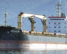 "Могли вывезти в оккупированный Донецк": оккупанты взяли в плен моряков грузового судна