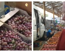 Дешевше тільки задарма: виноград в Україні віддають за безцінь, фермери б'ють на сполох