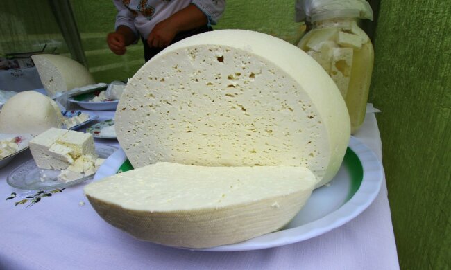 молочные продукты сыр брынза молоко