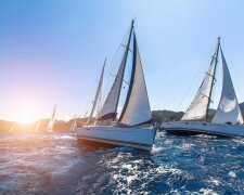 Sea Pilgrims