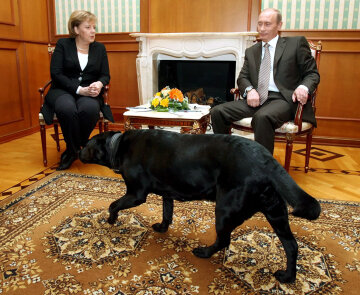 Меркель, Путин, собака Кони