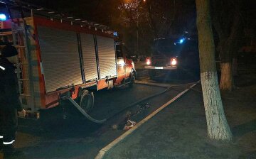 Трагедія на Одещині: пожежники не встигли врятувати сімейну пару