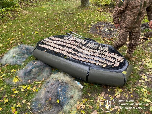 ����: politeka.net