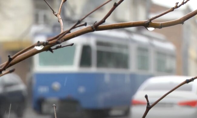 погода