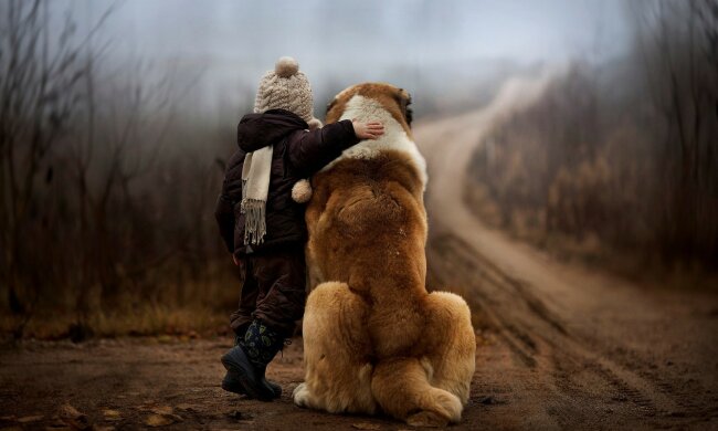 ребенок мальчик