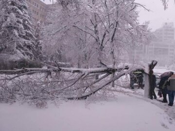 Соцмережі висміяли квітневі снігопади в Україні (фото)