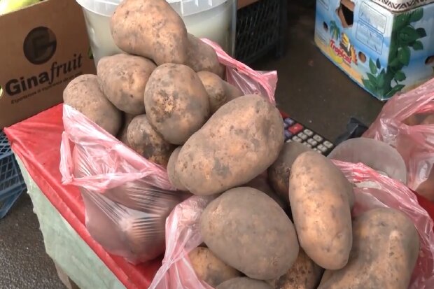 картопля, овочі