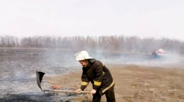 "Огонь распространяется очень быстро": на Харьковщине из-за сжигания сухостоя горят гектары
