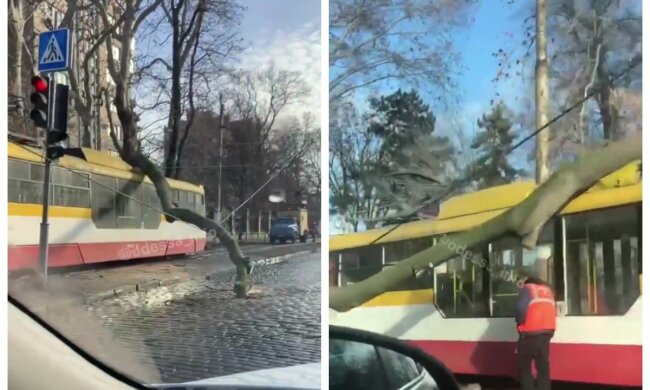 Стихия разбушевалась в Одессе, дерево рухнуло прямо на трамвай с людьми: видео с места ЧП