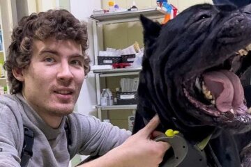 П'ять днів сторожив тіло господаря, а його віддали на усипляння: з'ясувалася доля пса і де він зараз