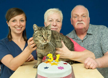 Старейшему коту планеты исполнился 31 год (фото)