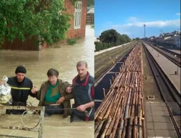 "Ще вода не встигла зійти": український ліс продовжують вивозити ешелонами, кадри