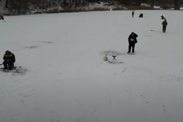 Нельзя есть даже животным: опасную рыбу ловят под Днепром, фото