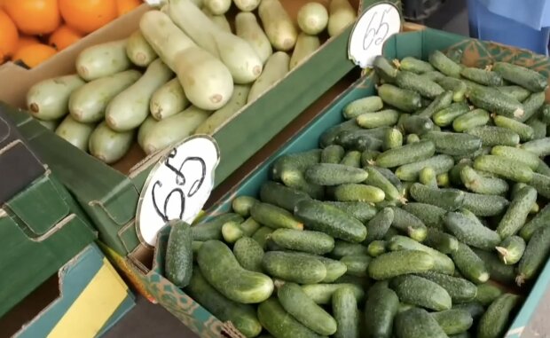 ����: politeka.net