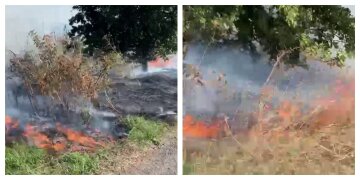 "Создаёт большую проблему": в Харьковской области вспыхнул масштабный пожар