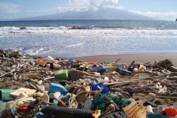 Черное море