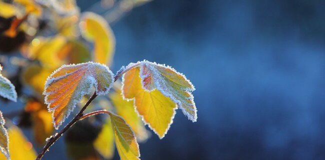 thumbnail-tw-201709291644273437