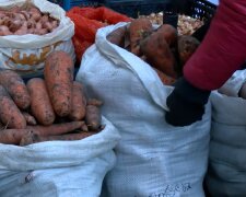 Дефицит продуктов в Днепропетровской области