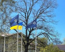 Нардеп Пушкаренко: присоединение Украины усилит эффективность Киберцентра НАТО
