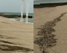 Пляж на украинском курорте превратился в огромную пепельницу, кадры: "Такой менталитет"
