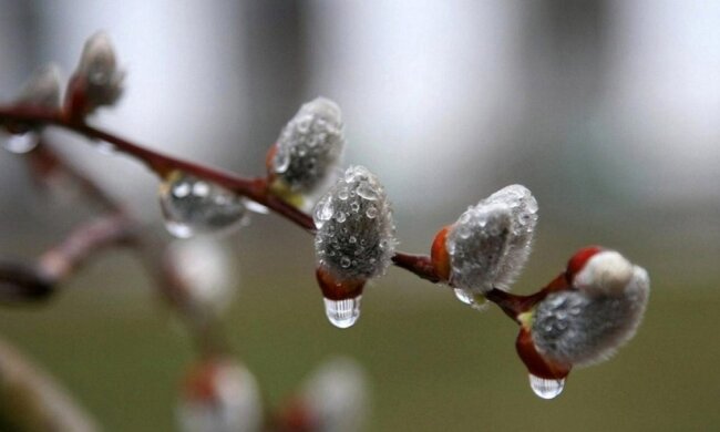 вербное воскресенье