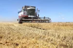 Сельское хозяйство