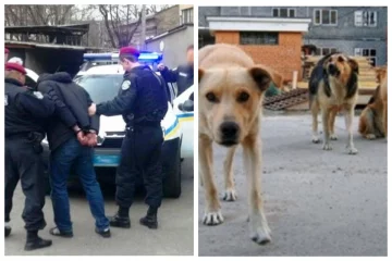 Під Одесою чоловік позбувся життя за знущання над собаками: деталі розправи