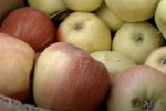 Дефіцит продуктів у Сумській області