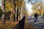 Прогноз погоди на тиждень з 13 по 19 жовтня у Кривому Розі