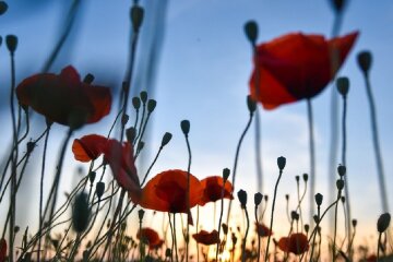 8 мая — какой сегодня праздник и чей День ангела