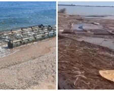 На пляжах Одессы ощущается вся полнота трагедии, которую наделали россияне: экологи бьют тревогу