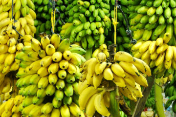 бананы фрукты