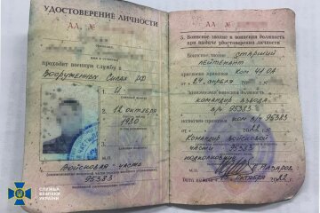 паспорт оккупанта