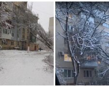 Заледенілі дерева падають на житлові будинки по всій Одесі: відео